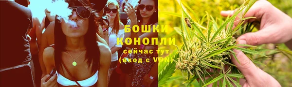 дурь Покачи