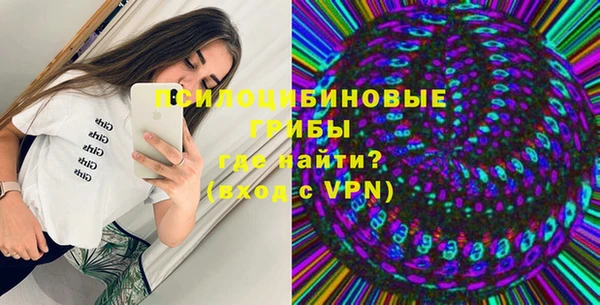 дурь Покачи