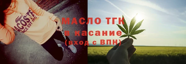 дживик Тында